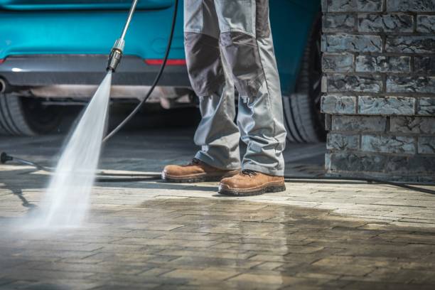 Best Pre-Holiday Cleaning  in Robinwood, MD